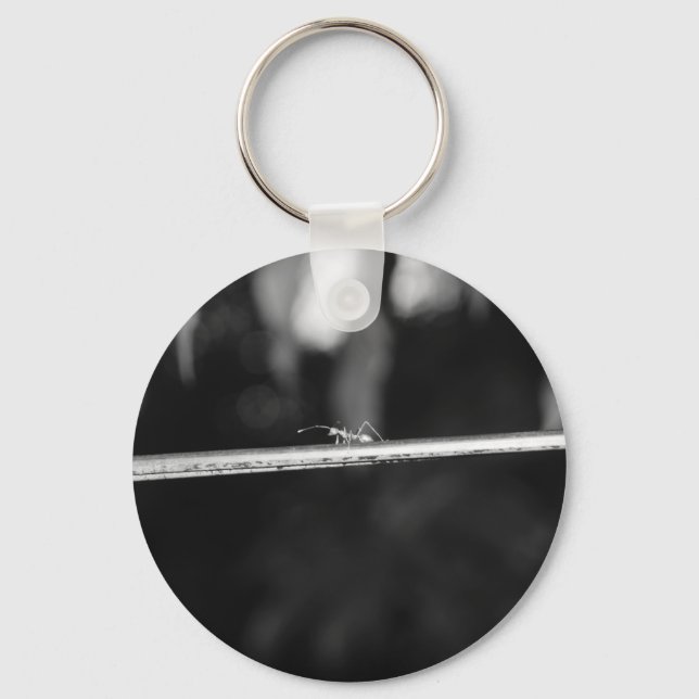 Porte-clés B&W - Ant Weaver (Recto)