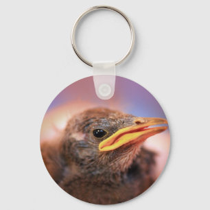 Porte-clés Baby Bird