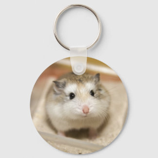 Porte-clés Baby hamster stare