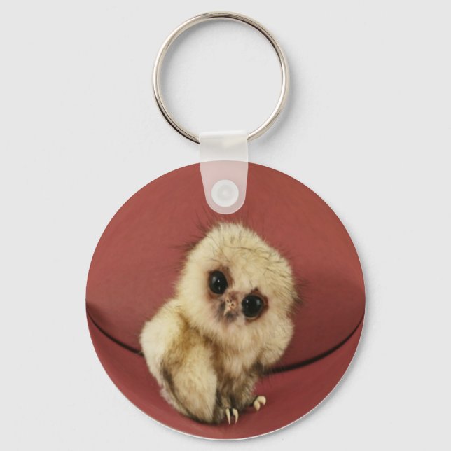 Porte-clés Baby Owl Porte - clé (Recto)