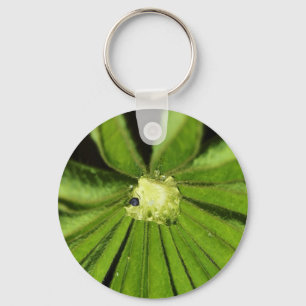 Porte-clés Baby Palm Plante par Shirley Taylor
