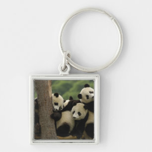 Porte-clés Baby panda géante Ailuropoda melanoleuca)