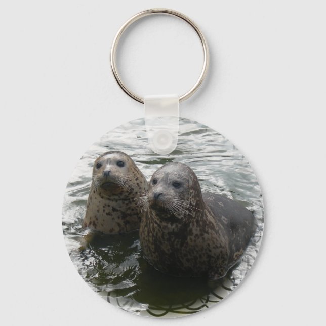 Porte-clés Baby Seals Keychain (Recto)