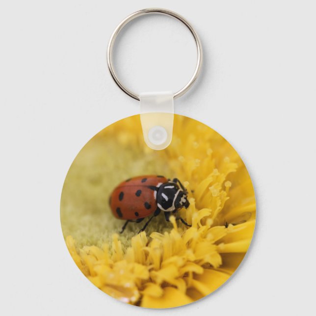 Porte-clés Bague (Recto)