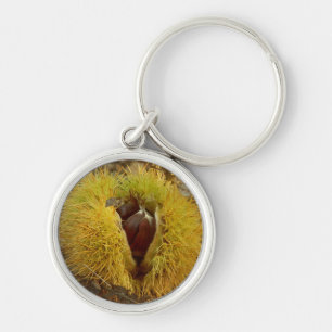 Porte-clés Bague à clé en châtaignier doux