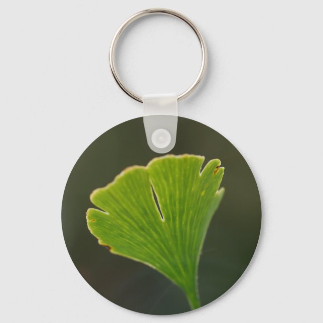 Porte-clés Bague à clé Ginkgo Leaf (Recto)