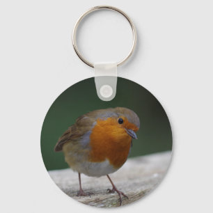 Porte-clés Bague à clé Robin