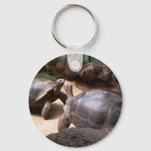 Porte-clés Baiser géant de tortue