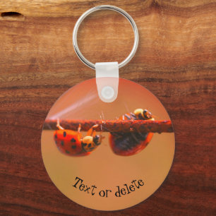 Porte-clés Balancing Ladybugs Nature Personalized