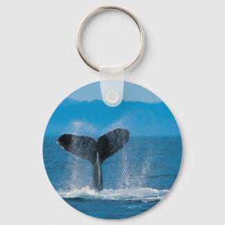 Porte-clés Baleine à bosse