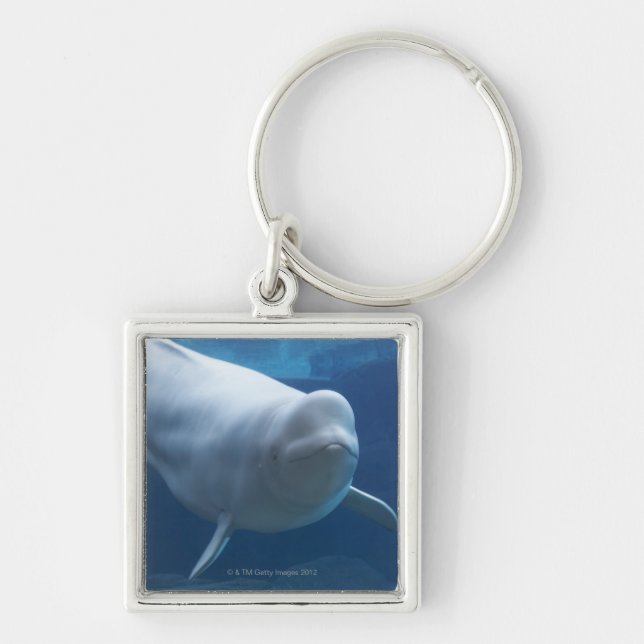 Porte-clés Baleine de beluga (leucas de Delphinapterus) (Devant)