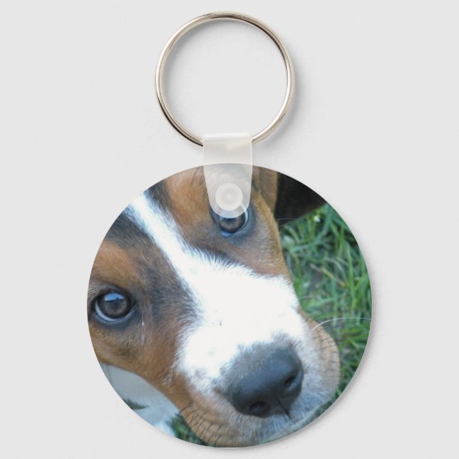 Porte-clés Basset Hound 02 (Recto)