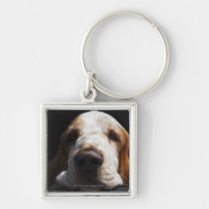 Porte-clés Basset Hound reposant sa tête