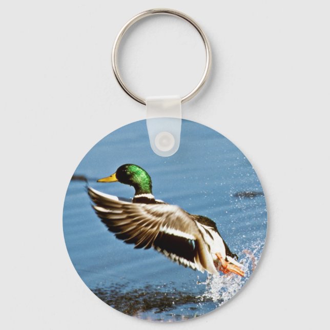 Porte-clés Bassin de Mallard (Recto)