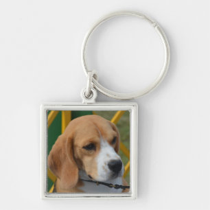 Porte-clés Beagle aimable