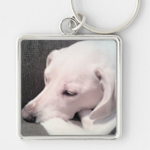 Porte-clés Beau dormant blanc Labrador Mix Chien