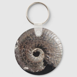 Porte-clés Beau fossile d'ammonite de pyrite montrant des