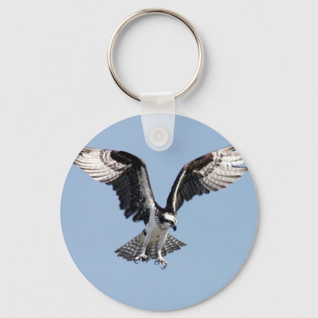 Porte-clés Beau Osprey à la recherche de proies (Recto)