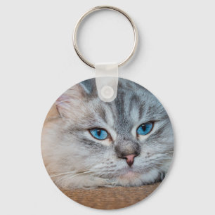 Porte-clés Beaux yeux bleu chat