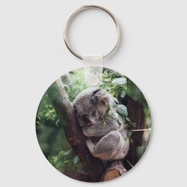 Porte-clés Bébé dormant Koala (Recto)