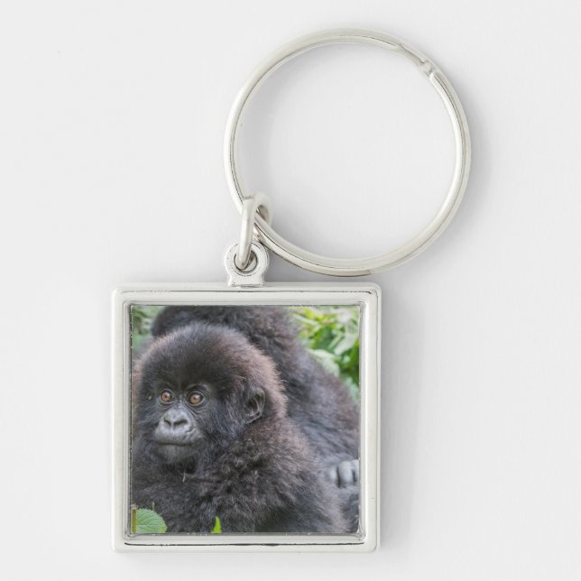 Porte-clés Bébé gorille des montagnes (Devant)