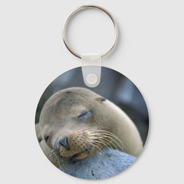 Porte-clés Bébé lion de mer, îles Galapagos (Recto)