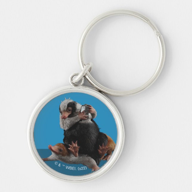 Porte-clés Bébé Nifflers Trouve Un Prix (Devant)