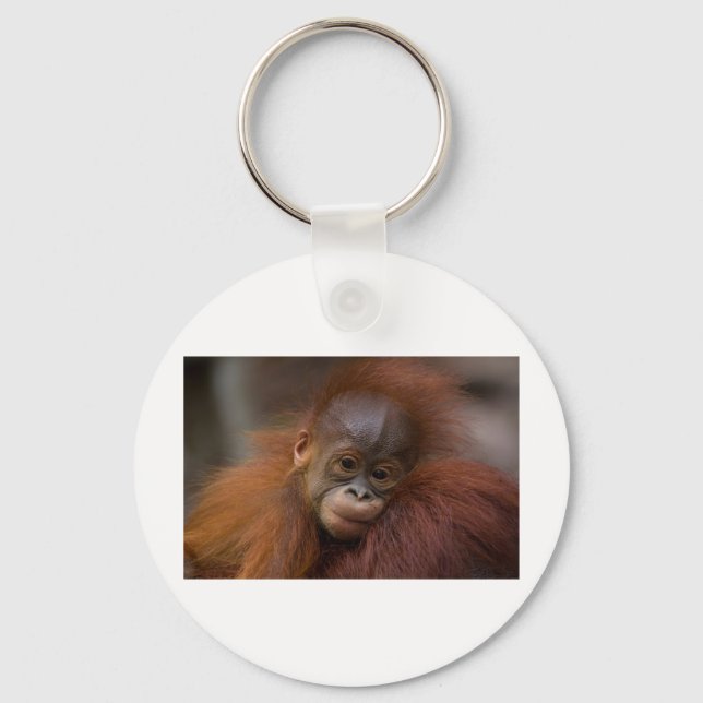 Porte-clés bébé Orangutang (Recto)