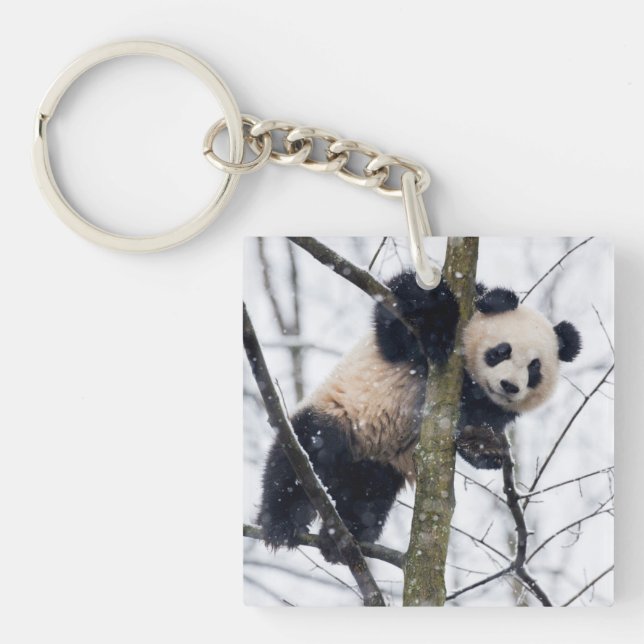 Porte-clés Bébé Panda dans l'arbre (Devant)