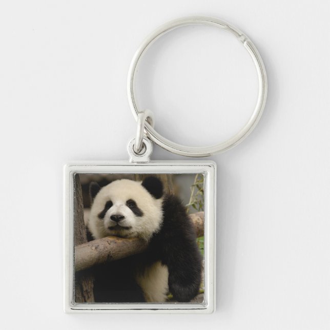 Porte-clés Bébé panda géant Ailuropoda melanoleuca) (Devant)