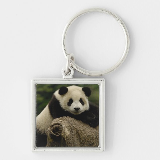 Porte-clés Bébé panda géant (Ailuropoda melanoleuca) (Devant)