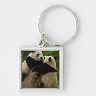 Porte-clés Bébés pandas géants (Ailuropoda melanoleuca)