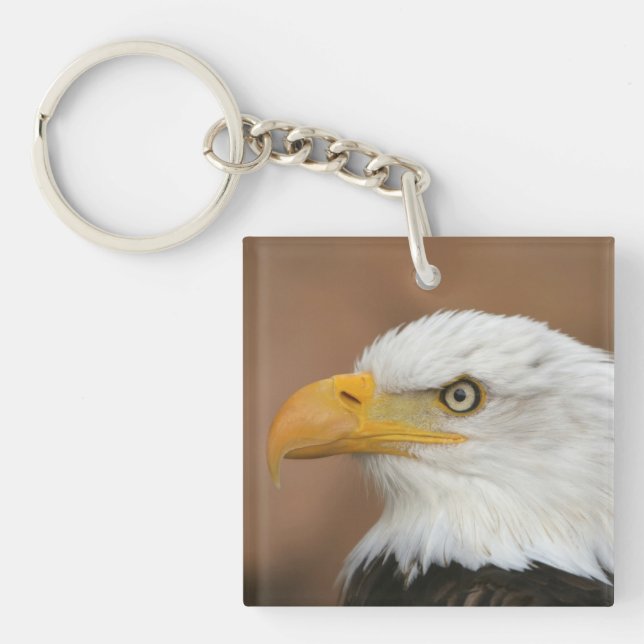 Porte-clés Belle Aigle chauve (Devant)
