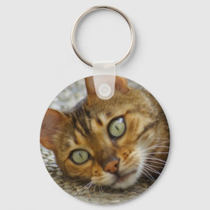 Porte-clés Belle Chat Bengale