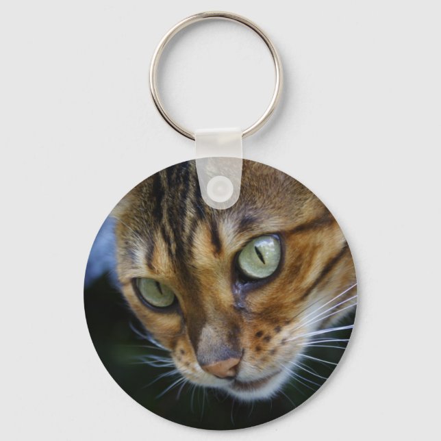 Porte-clés Belle Chat Bengale (Recto)