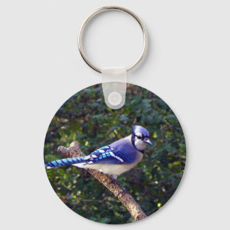 Porte-clés Belle Jay Bleu