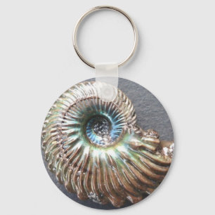 Porte-clés Belle nacre à l'ammonite fossile