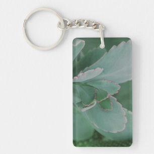 Porte-clés Belle photo d'art Plante du désert