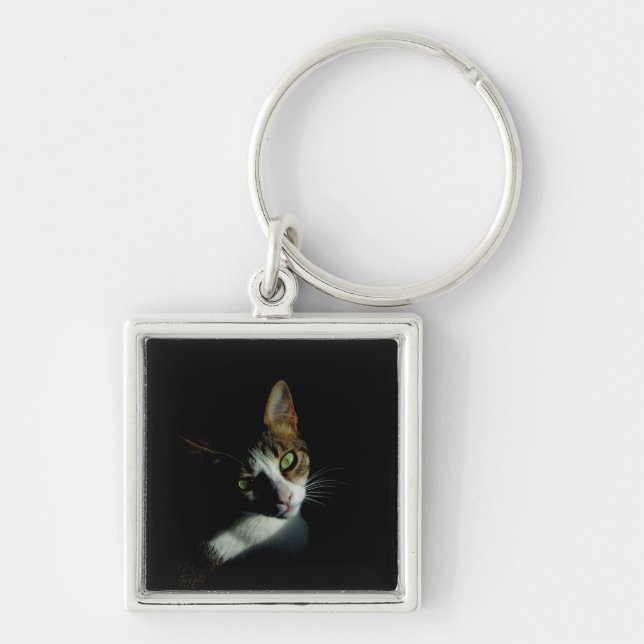 Porte-clés Belle photo de chat (Devant)