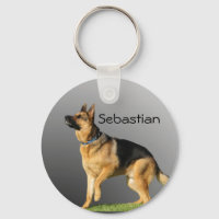 Berger allemand personnalisé
