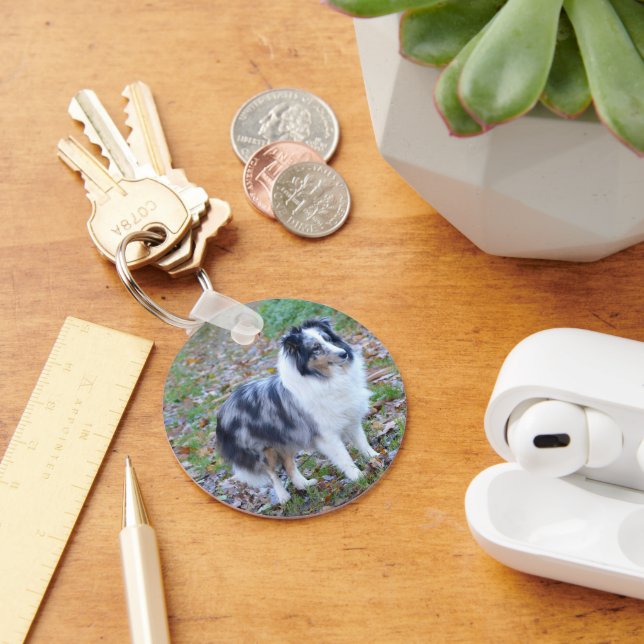 Porte-clés Berger des Shetland Blue Merle (Bureau)