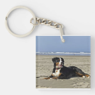 Porte-clés bernese-montagne-chien-layin sur beach.png