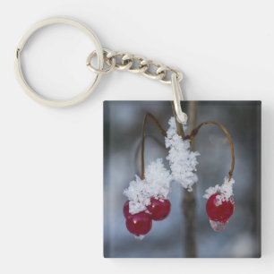 Porte-clés Berries congelées
