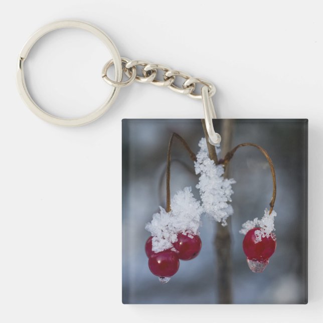 Porte-clés Berries congelées (Devant)
