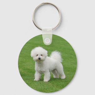 Porte-clés Bichon Frise