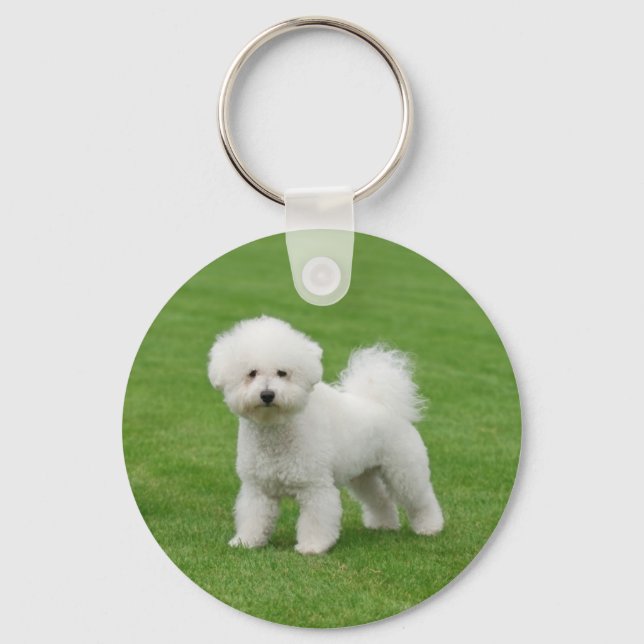 Porte-clés Bichon Frise (Recto)