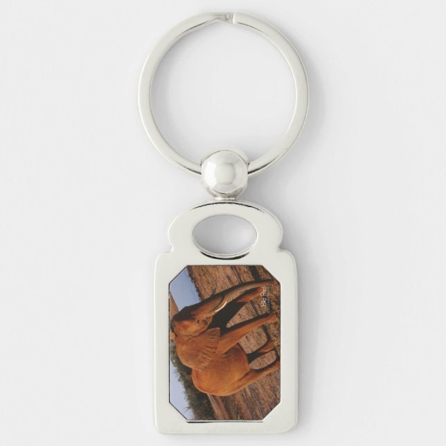 Porte-clés Big Red (Devant)