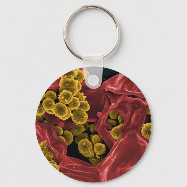 Porte-clés biologie microbiologie cadeaux pour enseignants ét (Recto)