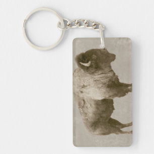 Porte-clés Bison américain