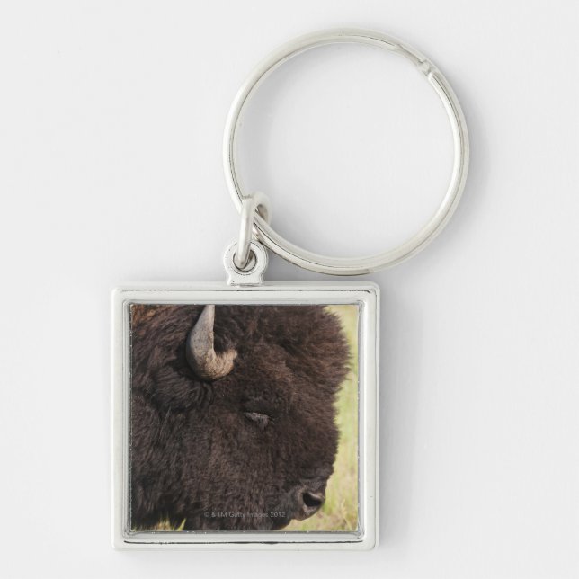 Porte-clés Bison américain, le Dakota du Sud (Devant)